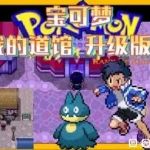 宝可梦：我的道馆