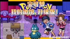 宝可梦：我的道馆